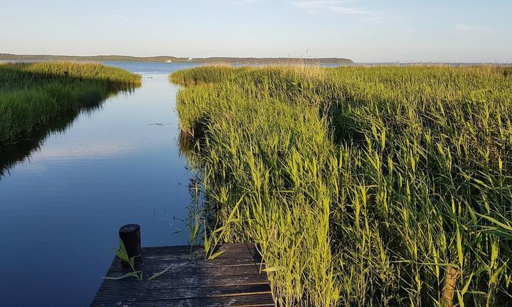 Fischstubchen Neeberg